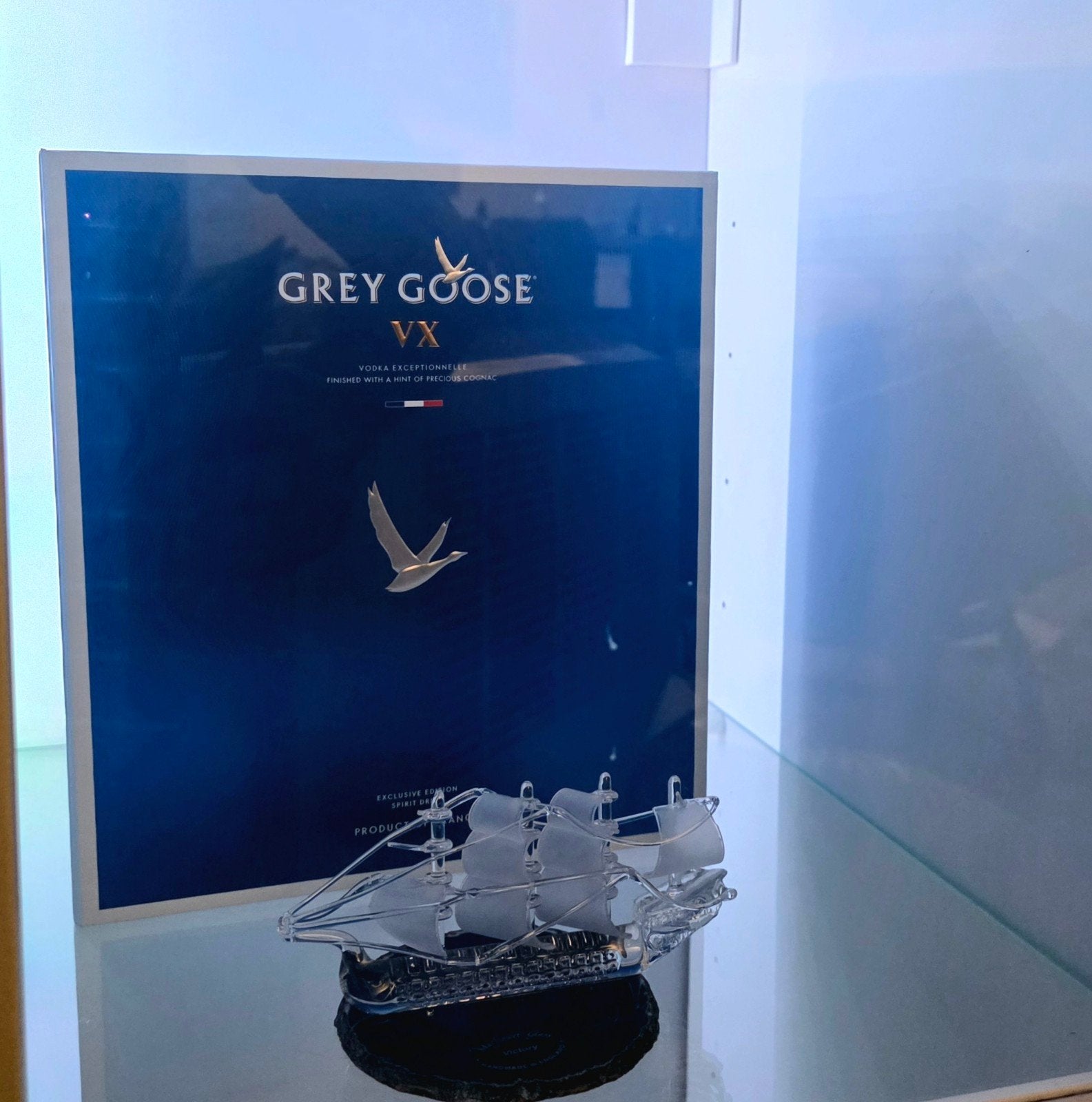 Exclusif Grey Goose VX Deadstock en parfait état, Enlèvement ou Envoi
