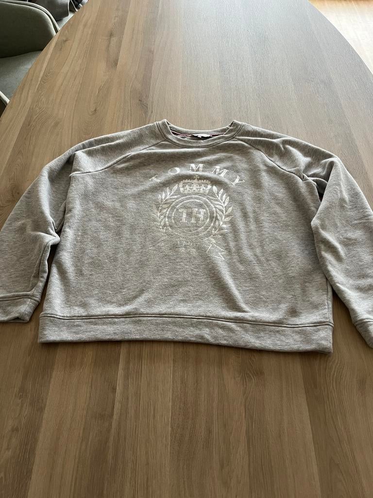 Grijze trui Tommy Hilfiger M, Kleding | Dames, Ophalen of Verzenden, Zo goed als nieuw, Maat 38/40 (M)