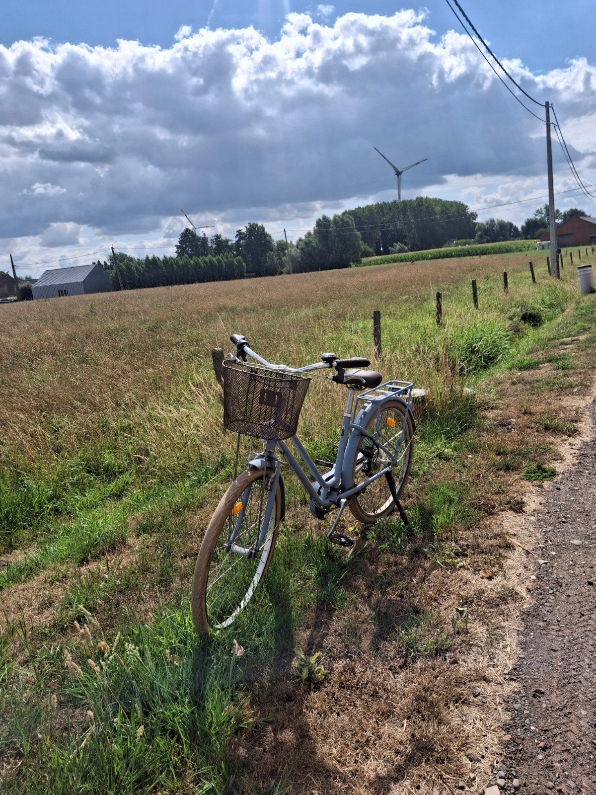 elops fiets met 6 versnelingen en een mandje, Fietsen en Brommers, Velgrem, 47 tot 50 cm, Versnellingen, Zo goed als nieuw
