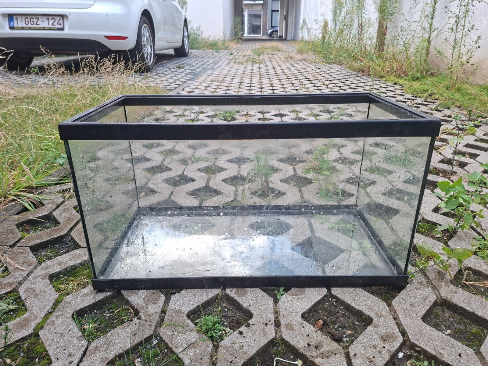 Aquarium/terrarium 60×30×30, Dieren en Toebehoren, Reptielen en Amfibieën | Toebehoren, Ophalen, Zo goed als nieuw