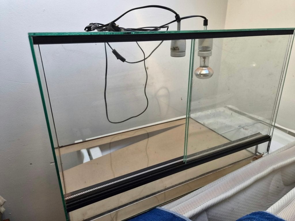 Terrarium, Enlèvement, Comme neuf, Terrarium ou Paludarium