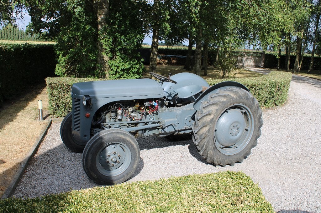 Tracteur TEA20 "Petit gris", Articles professionnels, Agriculture | Tracteurs, Enlèvement, Oldtimer/Ancêtre, Jusqu'à 80 ch, Massey Ferguson