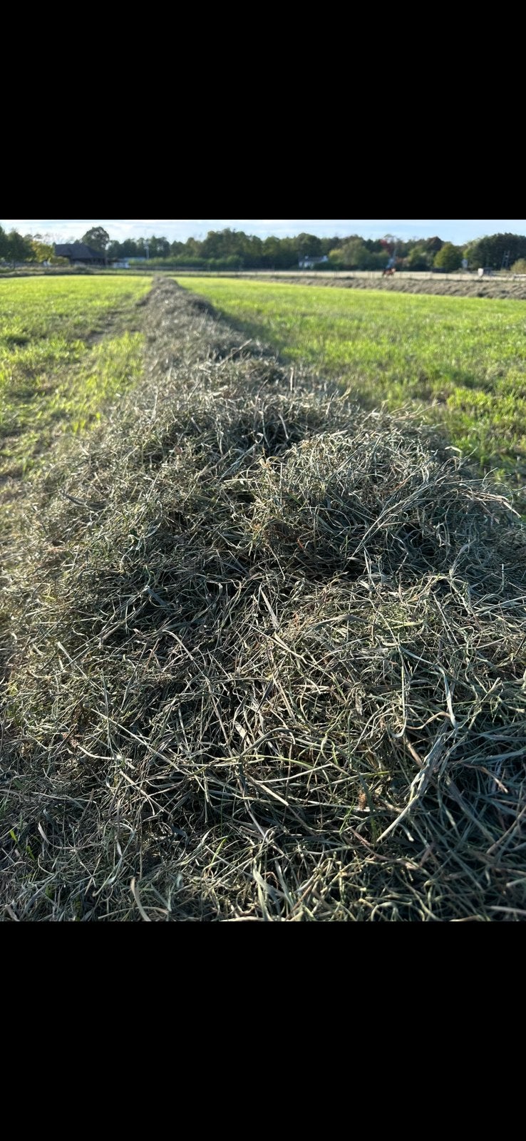 Hooi van veld, kleine balen, Enlèvement