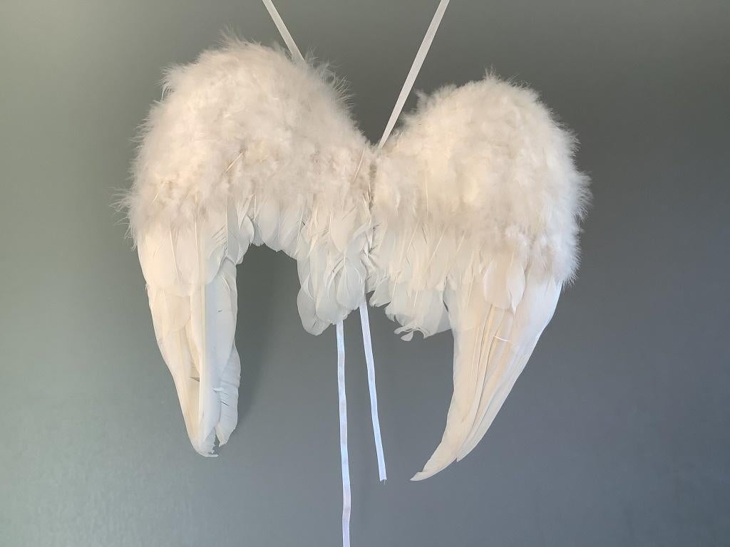Superbes ailes d'ange en brocante en bon état, Enlèvement ou Envoi