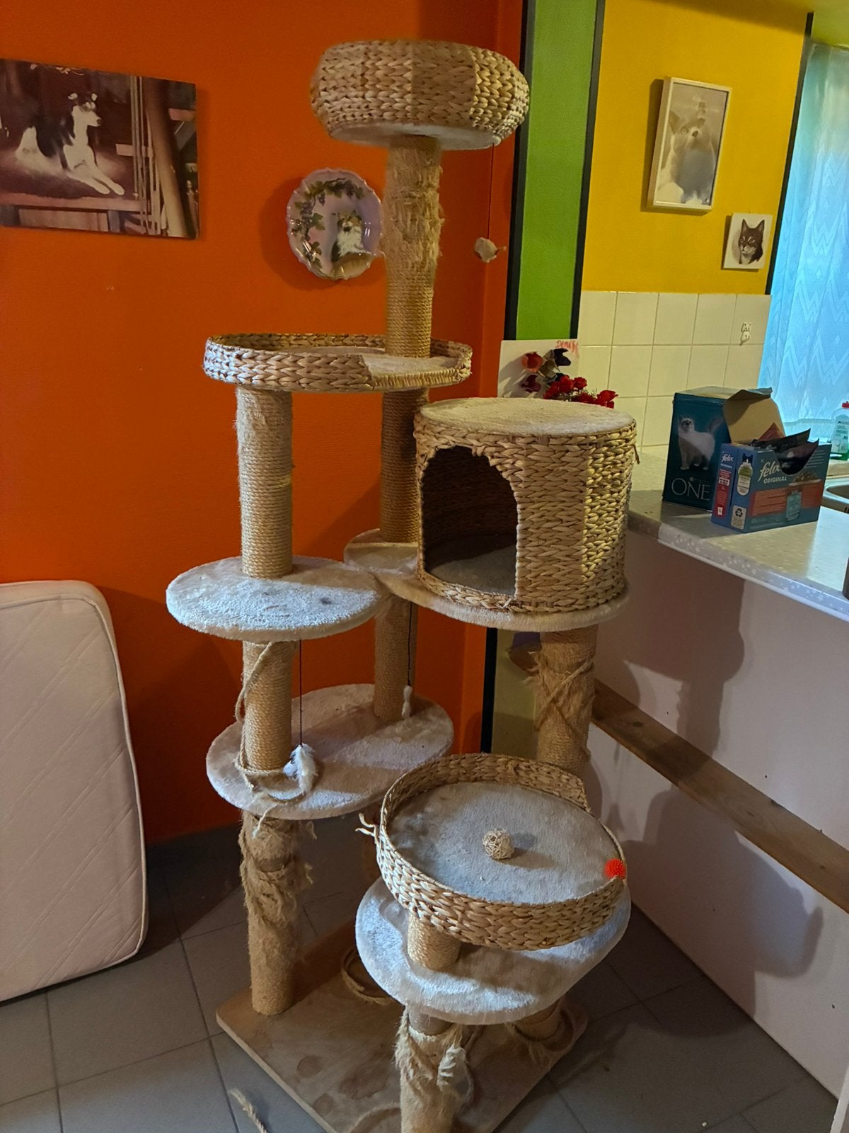 Meubles Cat Crab, Animaux & Accessoires, Enlèvement