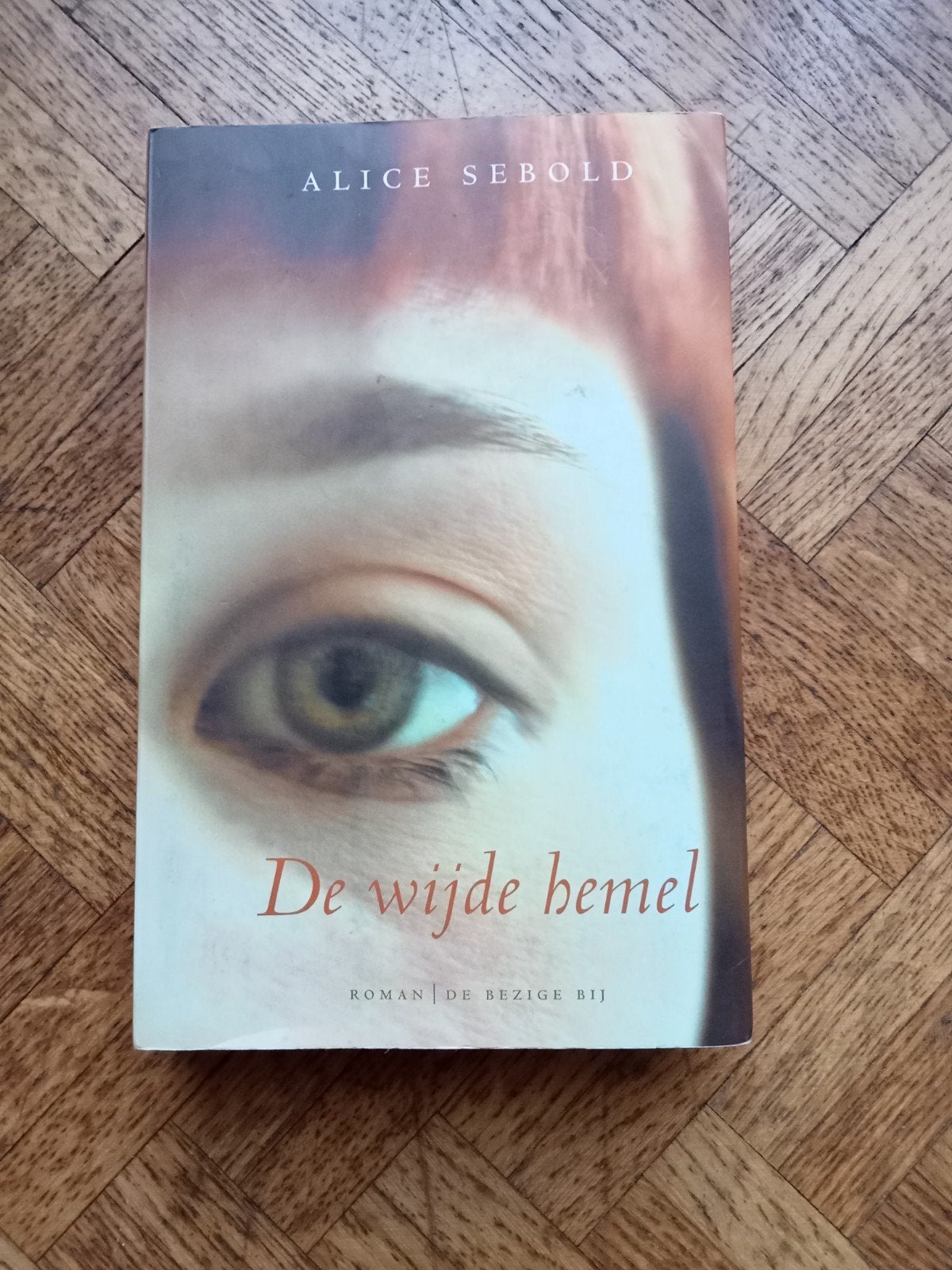 Alice Sebold: De wijde hemel, Boeken, Romans, Gelezen, Ophalen of Verzenden