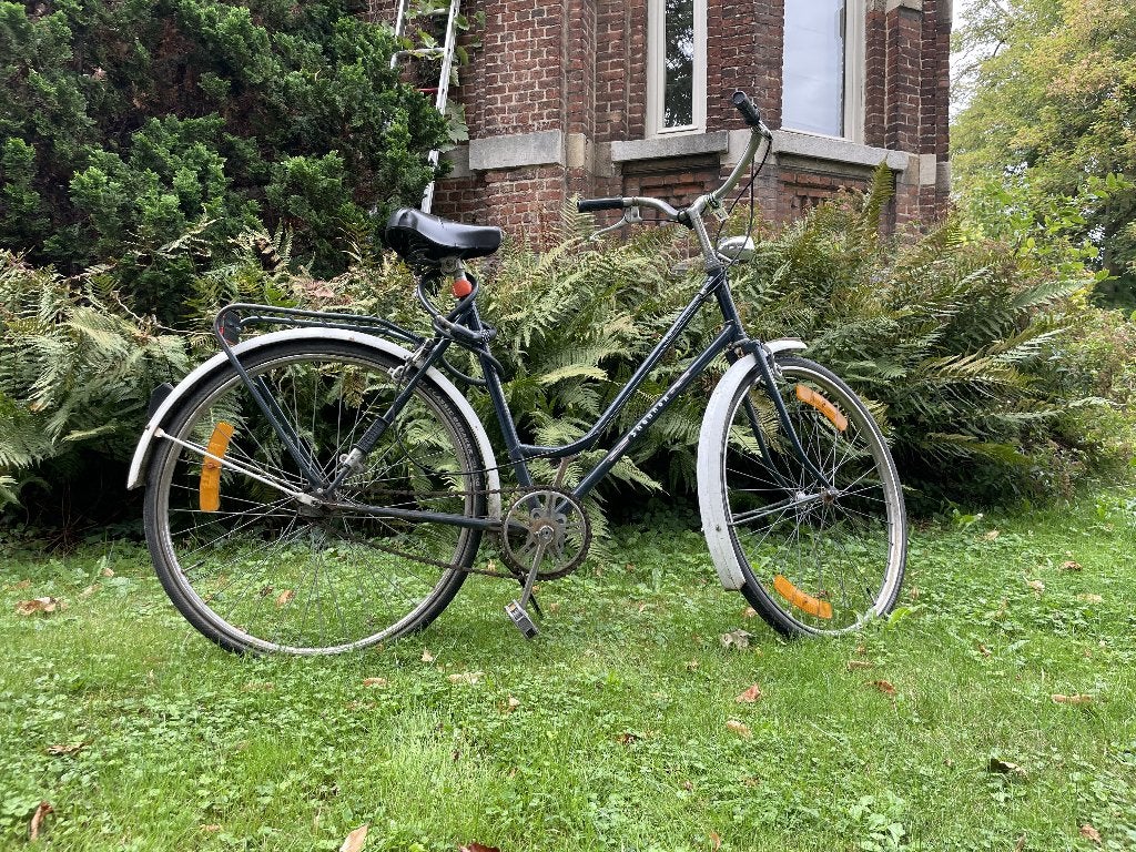 Vintage Shannon damesfiets / stadsfiets, Vélos & Vélomoteurs, Vélos | Femmes | Vélos pour femme, Enlèvement