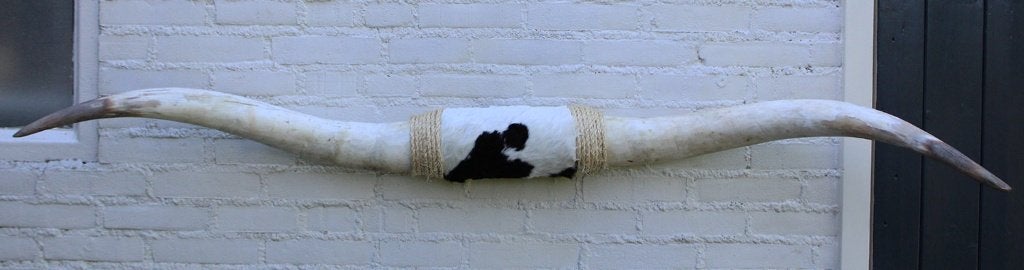 TEXAS style BULLBAR- 160 cm - afgewerkt met vel en touw, Collections, Collections Animaux, Enlèvement, Neuf, Animal de ferme, Autres types
