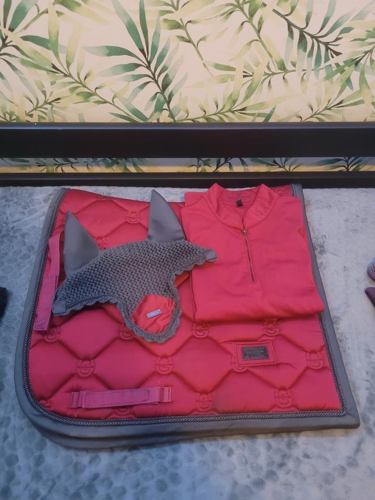 Equestrian stockholm set, Dieren en Toebehoren, Ophalen