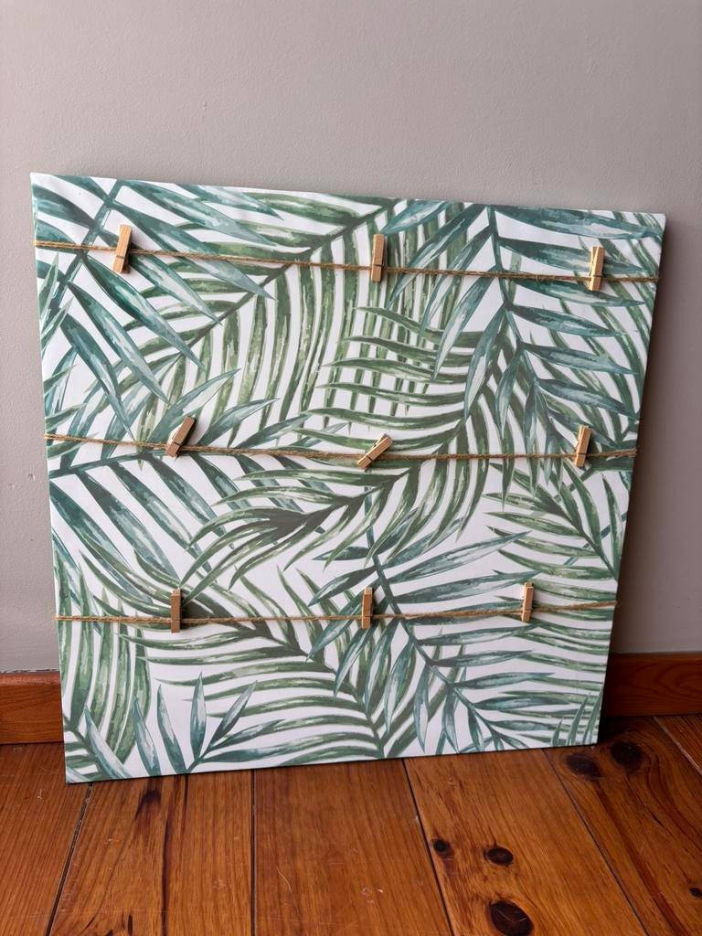 Kader om foto’s op te hangen, Ophalen, Groen, Papier/karton, Zo goed als nieuw