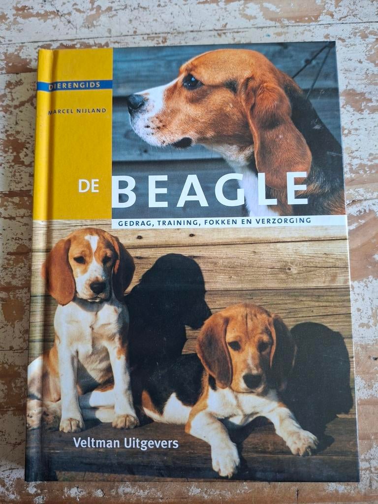 M. Nijland - De Beagle, Ophalen, M. Nijland
