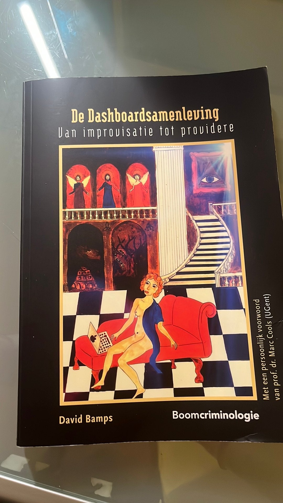 De dashboardsamenleving, Boeken, Film, Tv en Media, Ophalen of Verzenden, Gelezen, Overige typen
