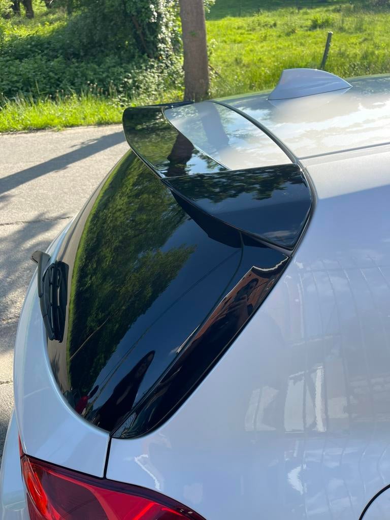 Serie 1 LCI Lame avant et aileron, Neuf, Pare-chocs, Enlèvement, BMW