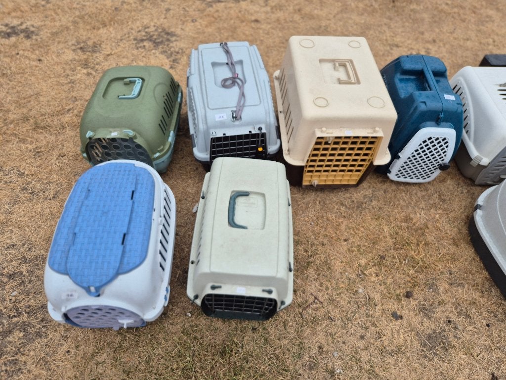Kattenbakken en transportmanden Geel Brussel Putte, Ophalen of Verzenden, Zo goed als nieuw