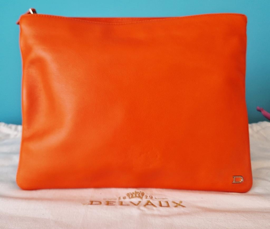 Zeer mooie Delvaux clutch, Handtassen en Accessoires, Ophalen of Verzenden