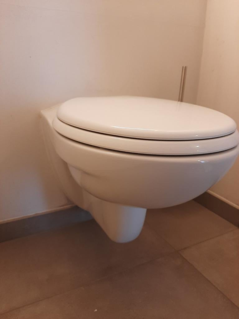 Gebruikte hangtoilet/wc met softclose bril, Ophalen, Zo goed als nieuw, Steen, Toilet