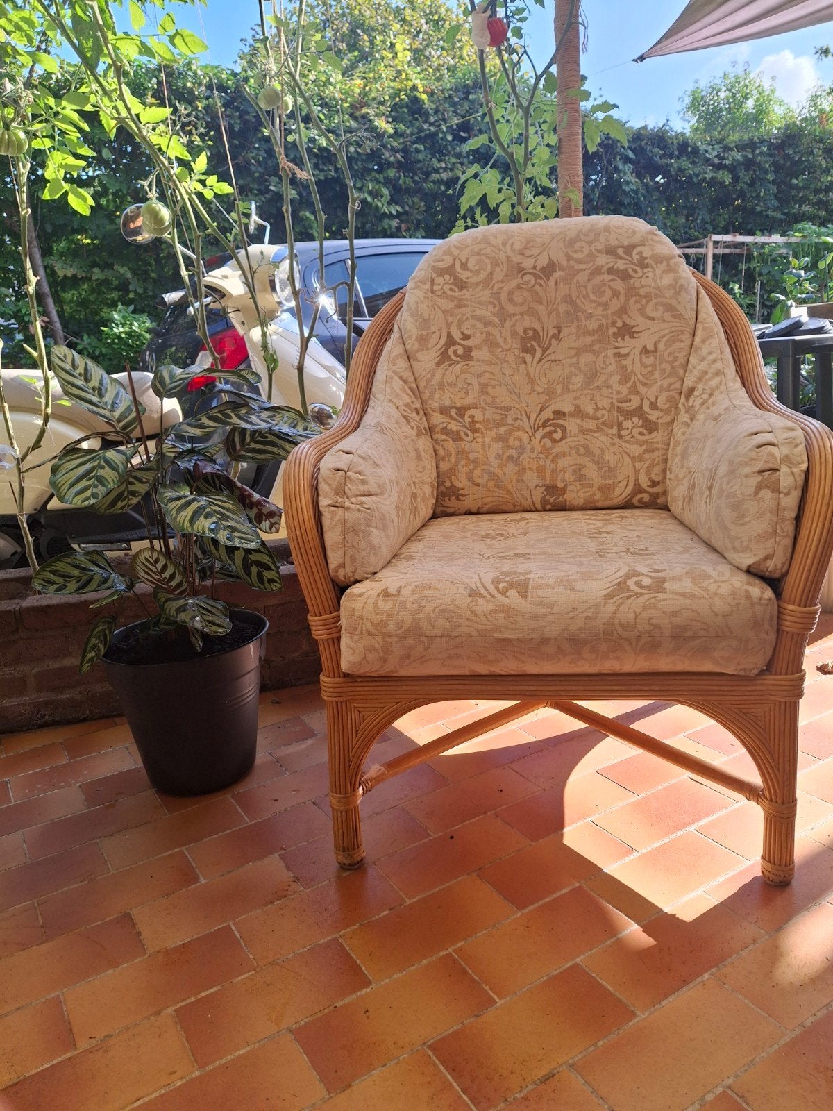 rotan set, Ophalen of Verzenden