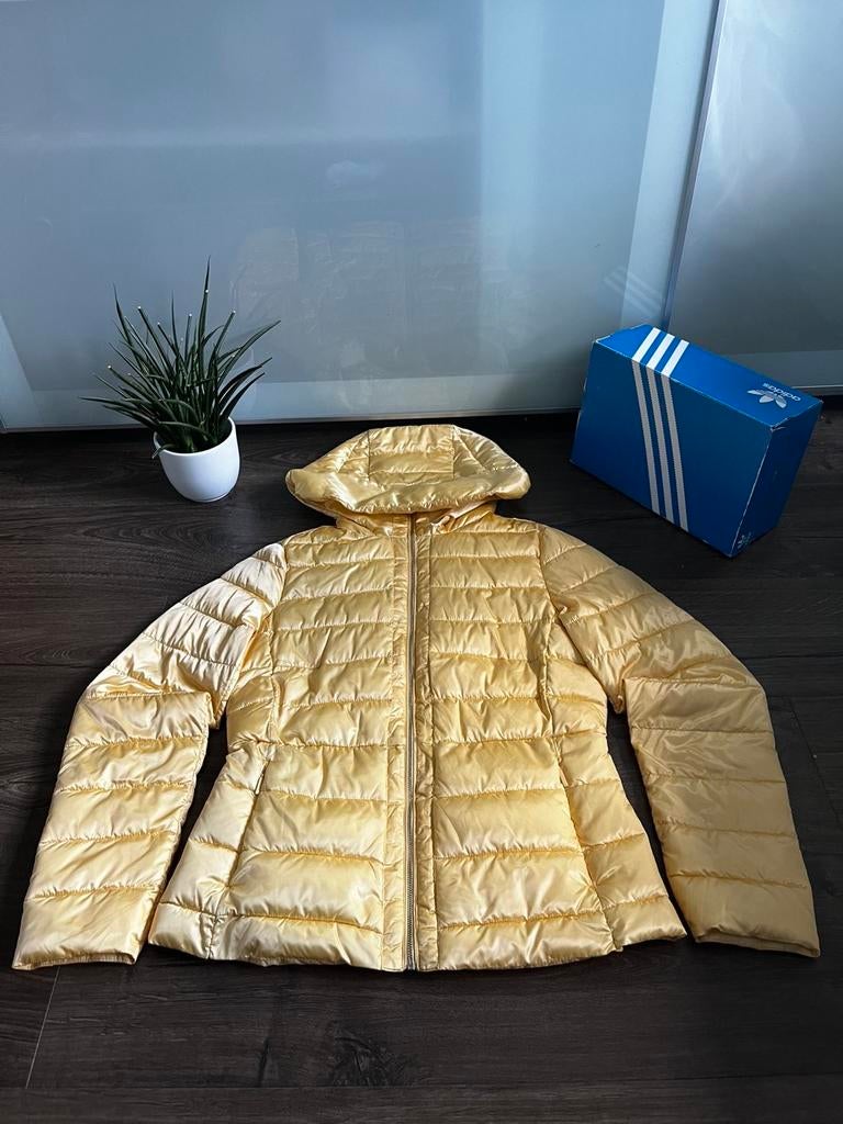 Jas Massimo dutti, Ophalen, Nieuw, Maat 36 (S), Overige kleuren