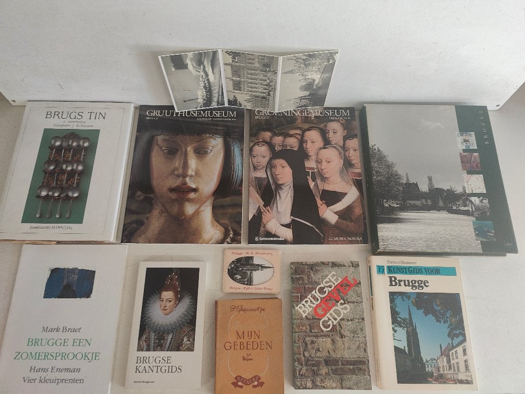 Groot lot boeken over Brugge, Boeken, Ophalen of Verzenden, Gelezen