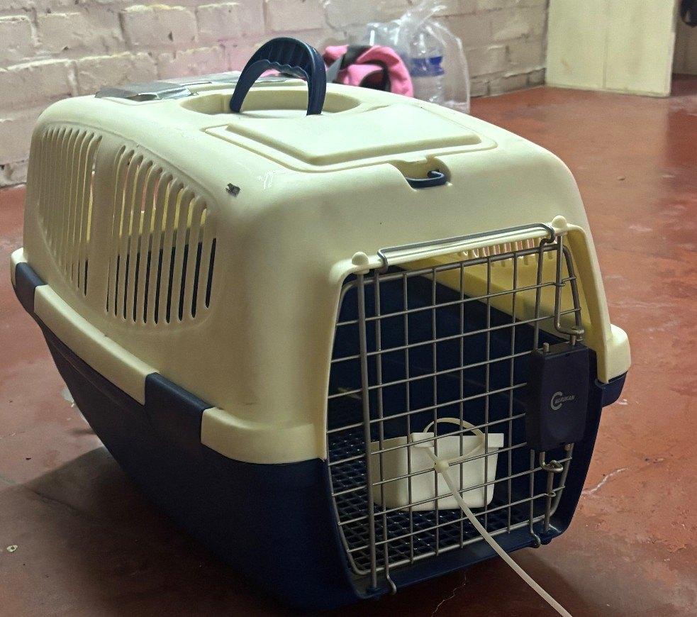 Cage de transport pour chat, Enlèvement, Comme neuf