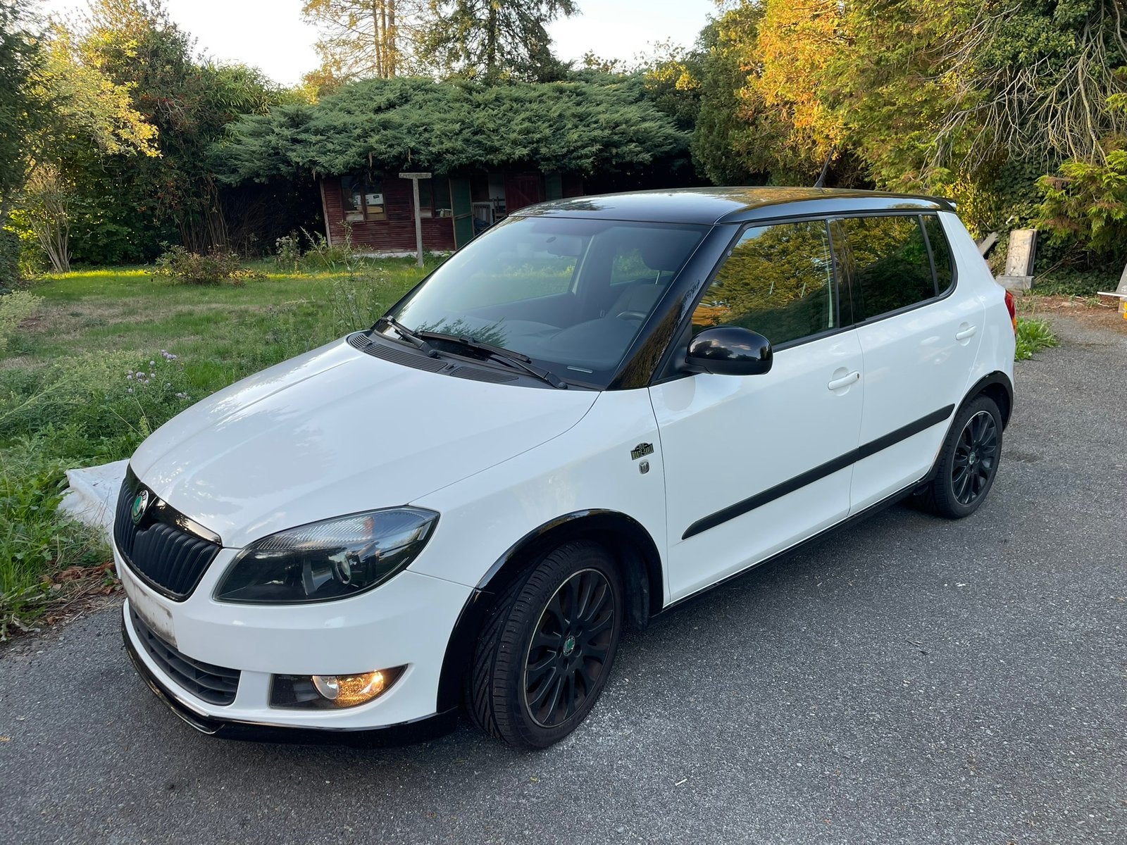 Skoda Fabia 1.2 TSI Monte Carlo, Auto's, Voorwielaandrijving, Euro 5, 4 cilinders, Alcantara