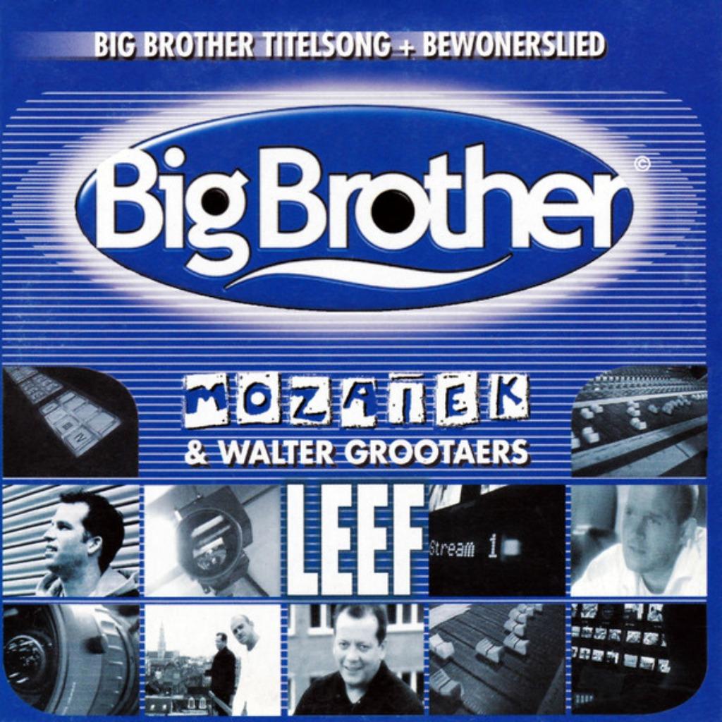 Mozaiek & Walter Grootaers - Leef, Cd's en Dvd's, 1 single, Ophalen of Verzenden, Zo goed als nieuw, Pop