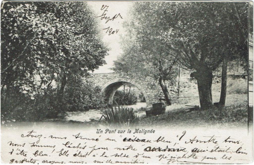 Carte postale ancienne Dinant Pont sur la Molignée 1904, Envoi, Avant 1920, Affranchie, Namur