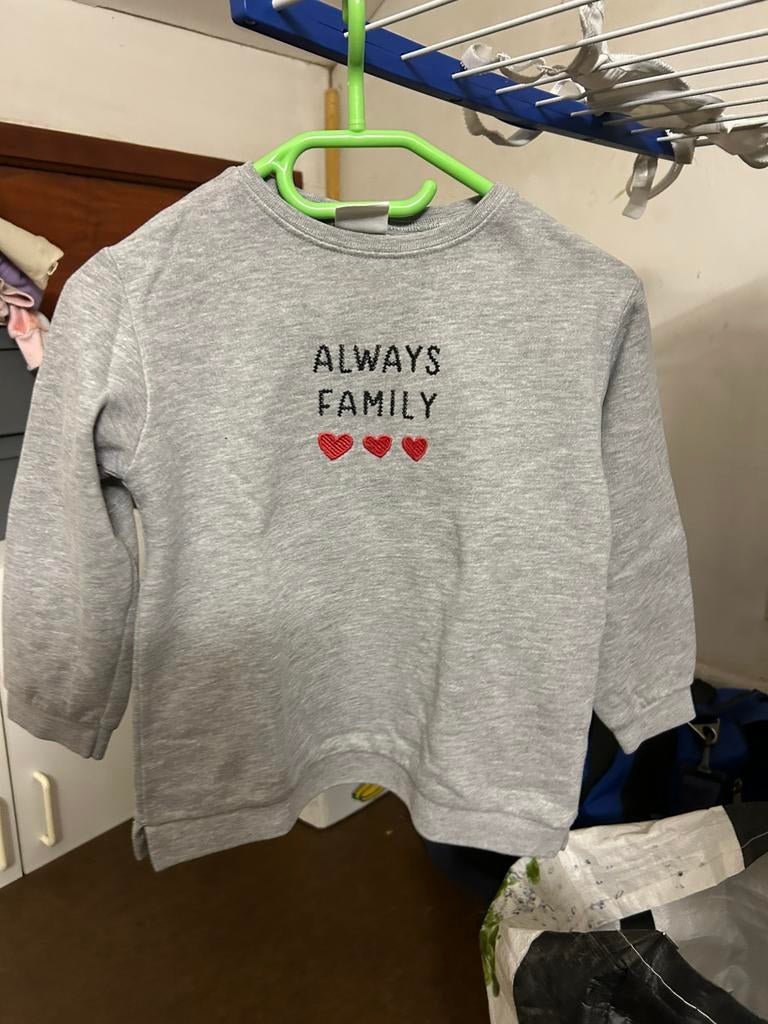 Meisje grijze pull, Enfants & Bébés, Vêtements enfant | Taille 104, Pull ou Veste, Comme neuf, Fille, Zara