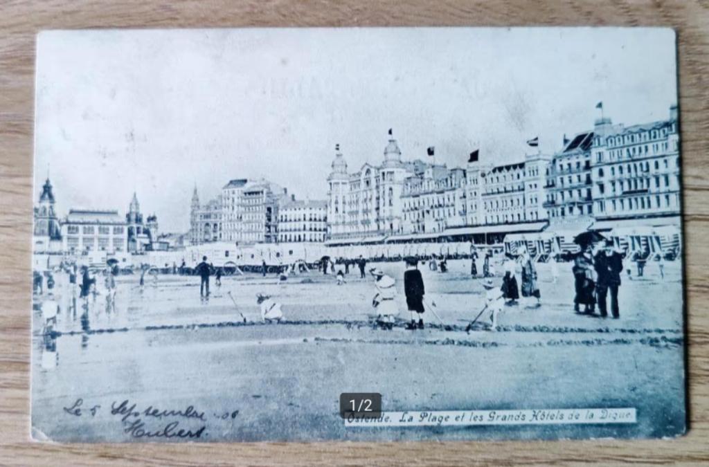 Ostende la plage et les grands hôtels de la digue, Enlèvement ou Envoi, Affranchie, Flandre Occidentale
