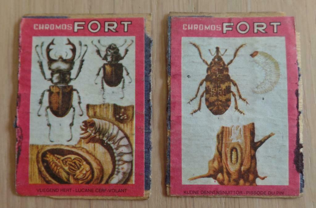 Lucifer etiketten Chromos Fort, Enlèvement ou Envoi, Utilisé, Boîtes ou marques d'allumettes