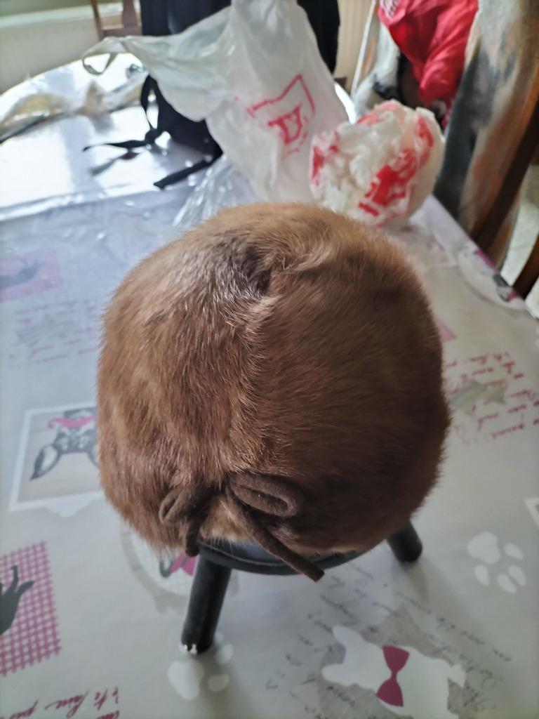bonnet, Neuf, Chapeau, Enlèvement, 58 cm (L, 7¼ pouces) ou plus