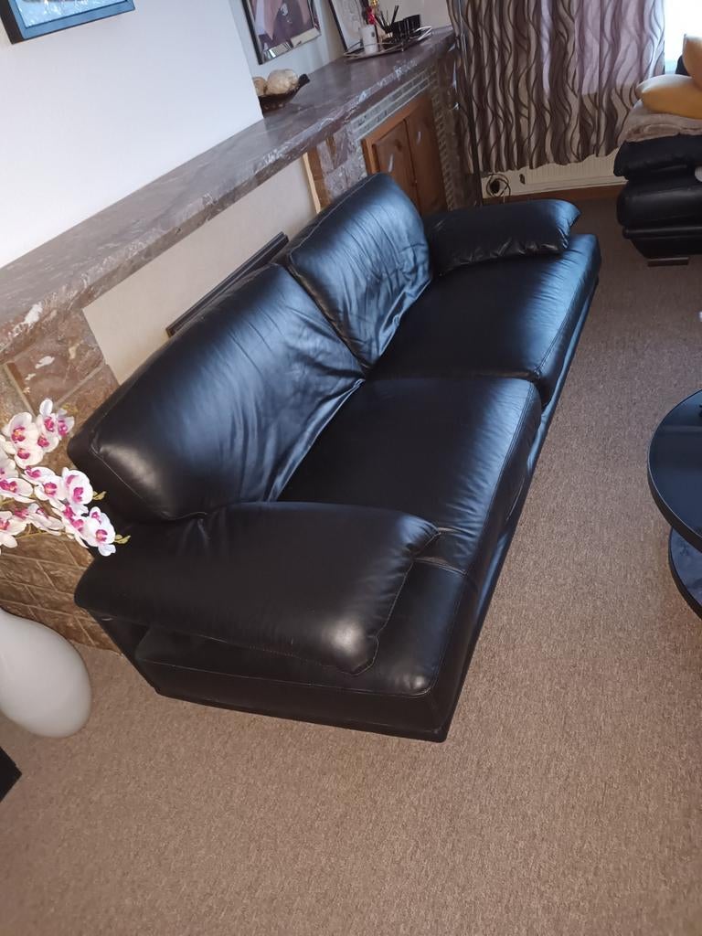 Natuzzi Echt lederen zetel. 2 stuks, Ophalen