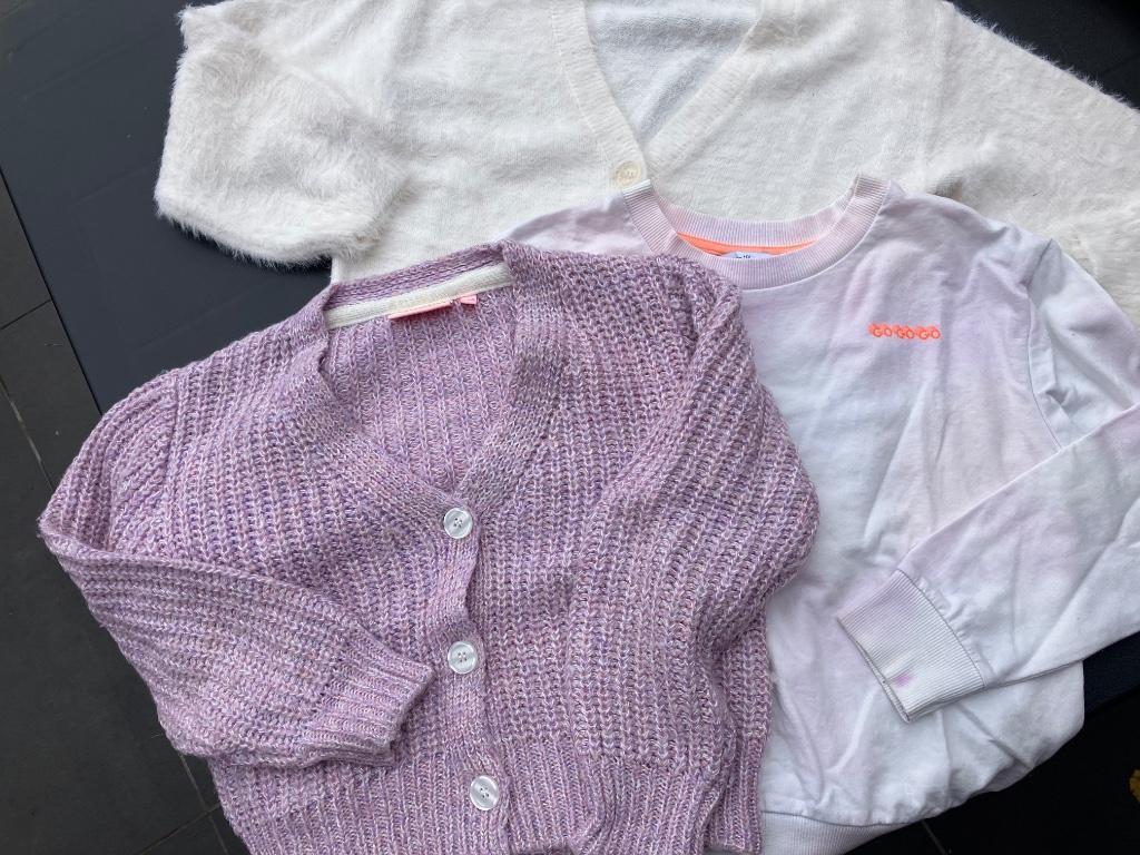 Truien meisje 128, Enfants & Bébés, Vêtements enfant | Taille 128, Enlèvement ou Envoi, Pull ou Veste, H&M, Utilisé