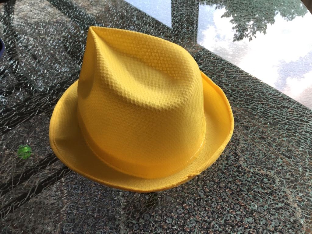 Chapeau pour fête, déguisement, Enlèvement, Porté, One size fits all, Chapeau