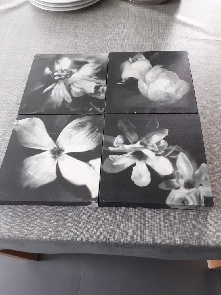 4 canvas, Huis en Inrichting, Ophalen of Verzenden, Zo goed als nieuw
