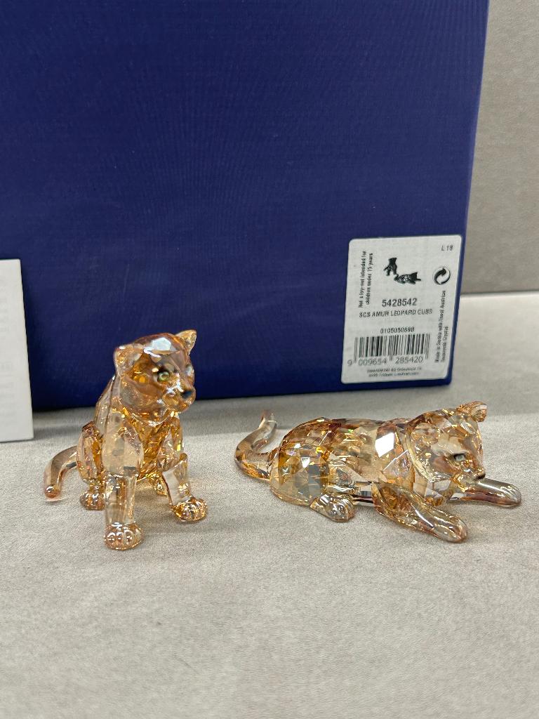 Swarovski SCS 2019 Amoerluipaard Jongen, Enlèvement ou Envoi, Neuf, Figurine