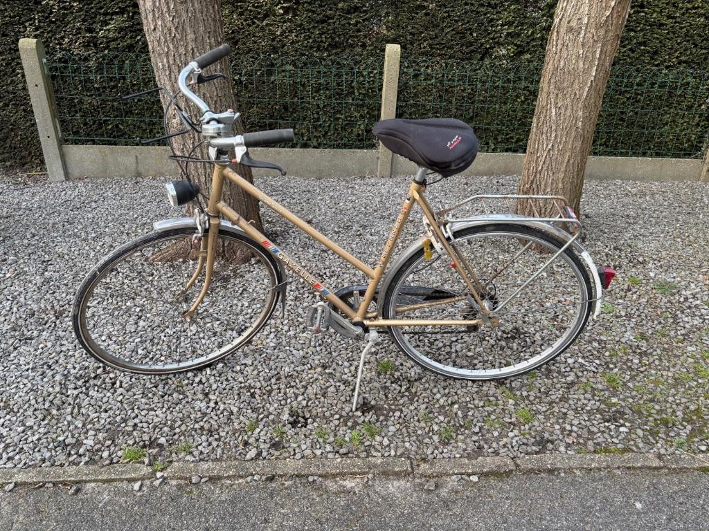 Gazelle, 50 tot 53 cm, Ophalen, Gebruikt, Gazelle