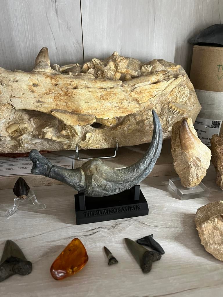 Dinosaurus klauw replica, Verzamelen, Ophalen of Verzenden, Fossiel