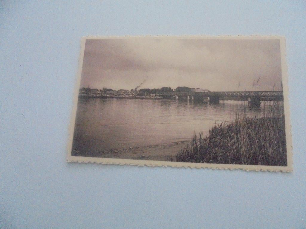 temse - zicht op de schelde, Verzamelen, Ophalen of Verzenden, 1940 tot 1960, Ongelopen, Oost-Vlaanderen