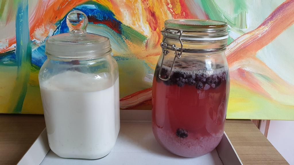 KEFIR Waterkefir of MelkKefir, Diversen, Levensmiddelen, Ophalen
