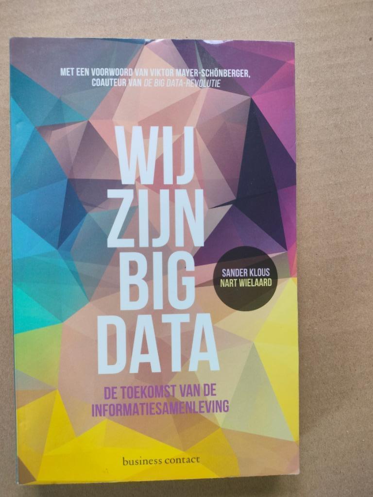 Wij zijn Big Data De toekomst van de informatiesamenleving, Livres, Informatique & Ordinateur, Envoi, Comme neuf, Domaine spécialisé ou Industrie