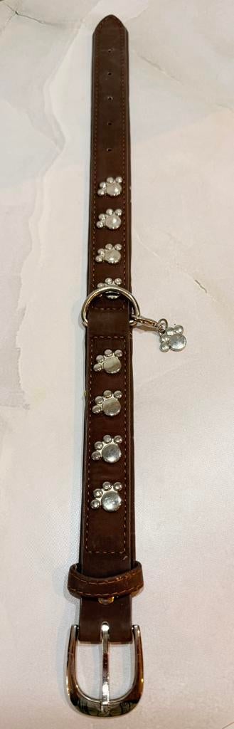 hondenhalsband, Ophalen, Nieuw