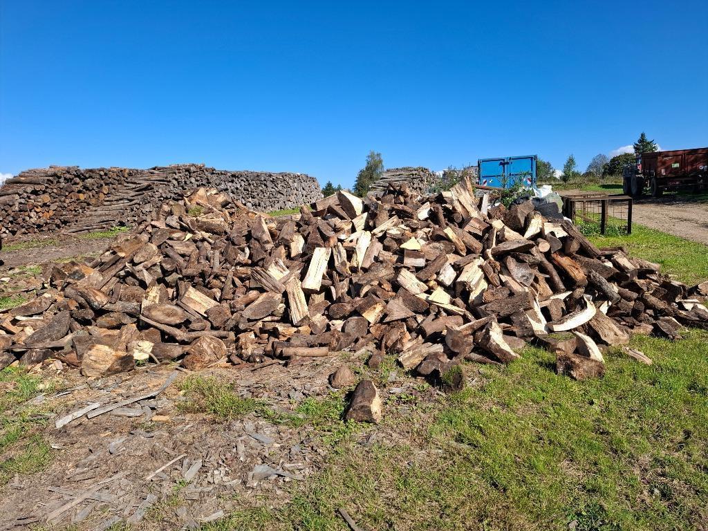 bois de chauffage, 6 m³ ou plus, Enlèvement, Chêne, Bûches
