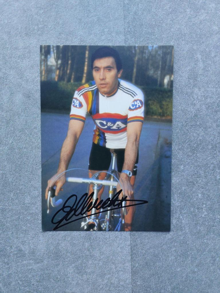 Carte postale Eddy Merckx, Enlèvement ou Envoi, Comme neuf, Cartes de joueur