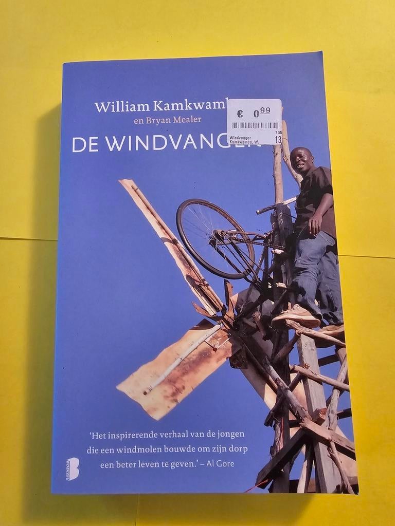 Bryan Mealer - De windvanger, Boeken, Overige Boeken, Zo goed als nieuw, Ophalen of Verzenden