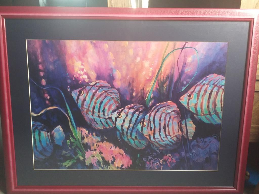 Schilderij aquariumvissen, Dieren en Toebehoren