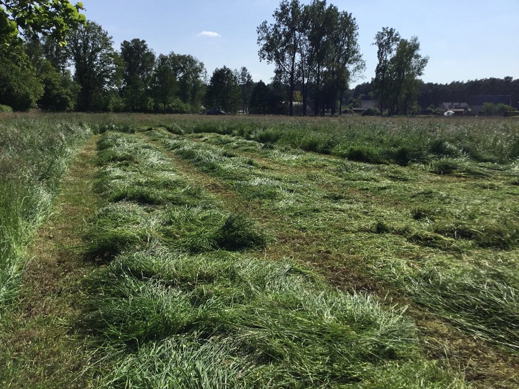 Voordroog hooi 2026