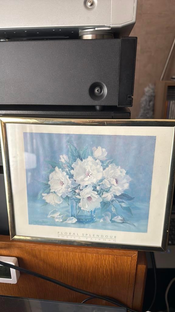 Witte bloemen in een glazen vaas, Ophalen