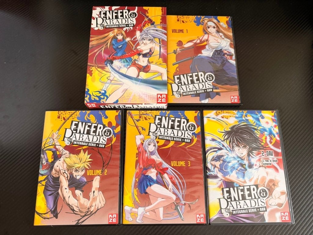 Coffret DVD Intégrale – Enfer & Paradis (Série + OAV), Enlèvement ou Envoi, Utilisé