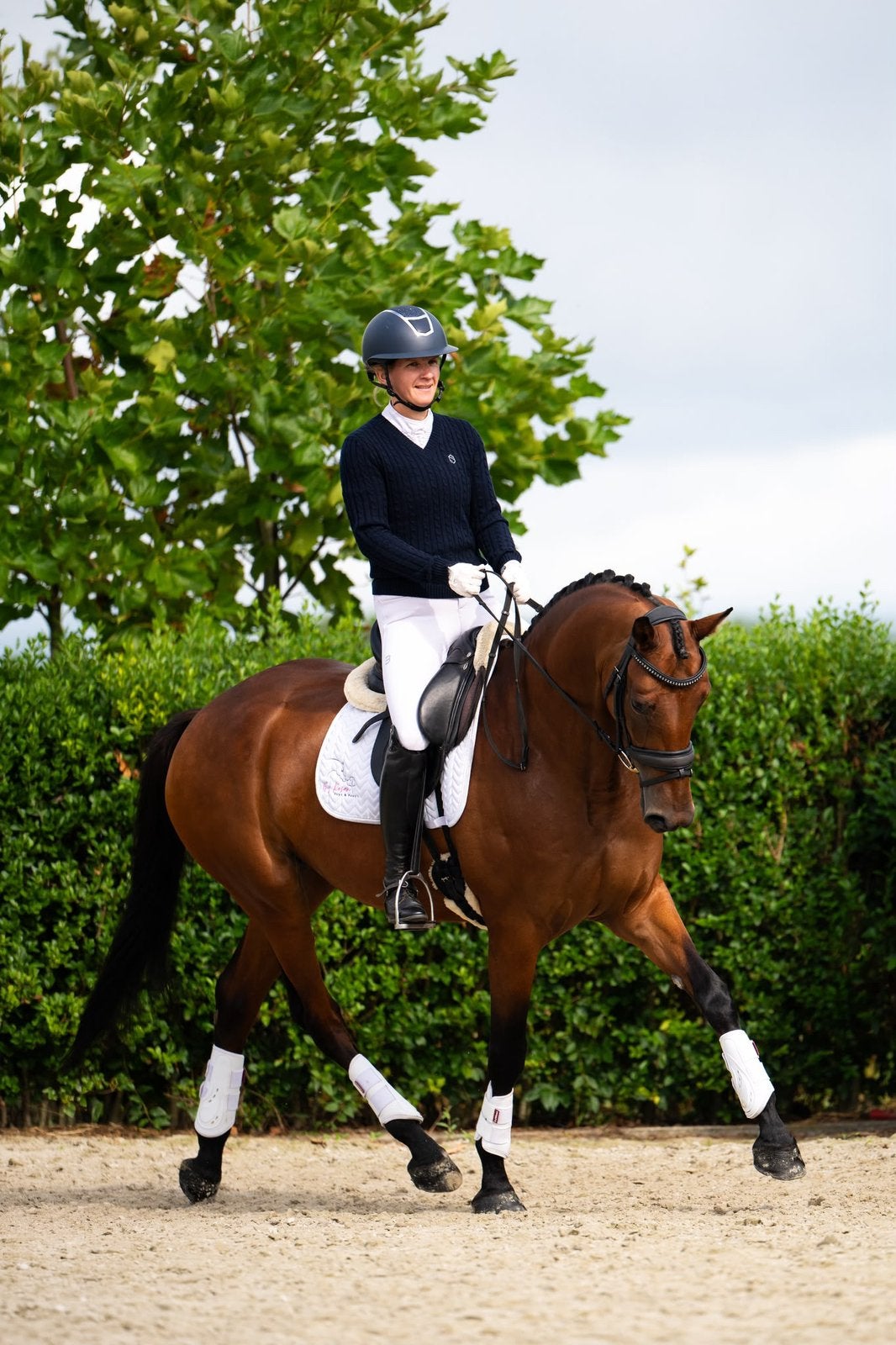 Mega knappe en lieve dressuurmerrie, Dieren en Toebehoren, Merrie, Met stamboom, Dressuurpaard, 3 tot 6 jaar